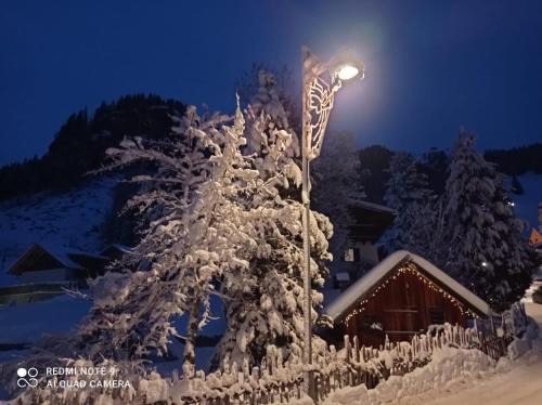Penia Apartment | Luxury Chalet Orchidea
