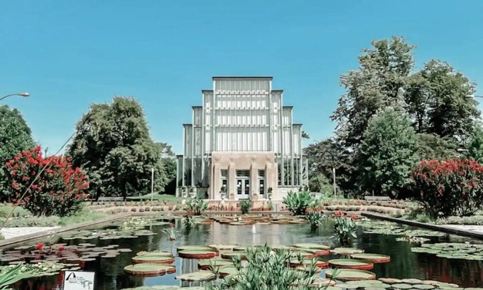 St. Louis House | Luxury Home in University City - WALKING DISTANCE TO FOREST PARK AND THE LOOP