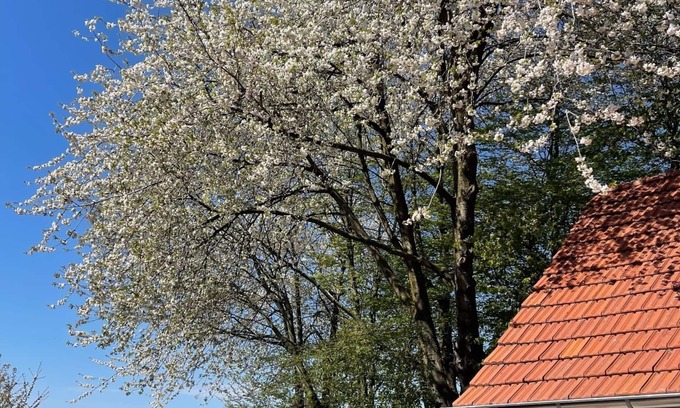 Municipality of Arnhem House | Luxury in the countryside (4p) in private accommodation