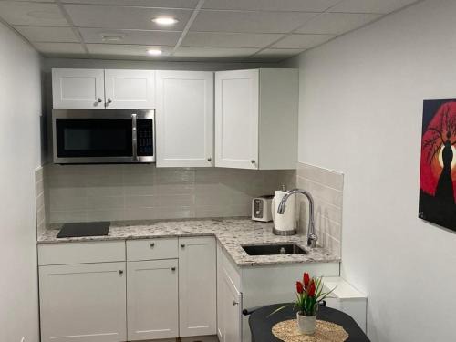 Fort Gary Apartment | Luxury one bedroom in a modern basement