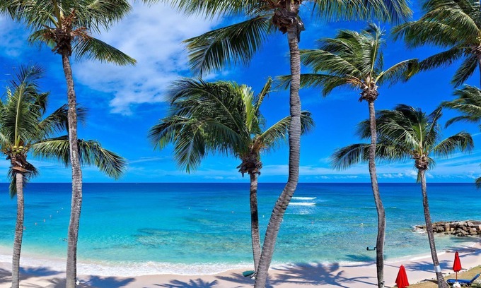 Reeds Bay Apartment | Luxury Penthouse Apartment With Large Rooftop Terrace & Jacuzzi Pool