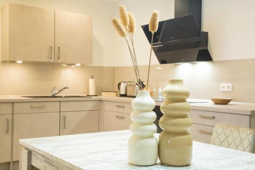 Herrensohr Apartment | Luxury Saarbrücken 3