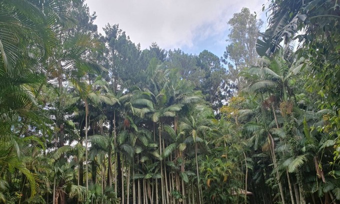 Tallai House | Luxury Tropical Sanctuary in Amazing Location