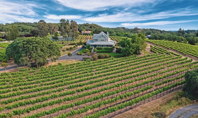 Healdsburg House | Lytton Station Vineyard - Stunning 360-degree vineyard views
