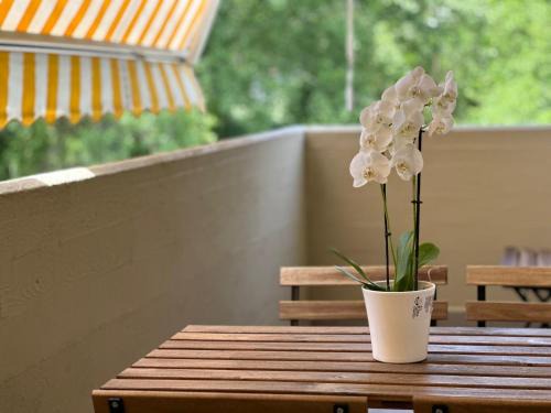 Ronchi Apartment | Mafiolina d'Amare