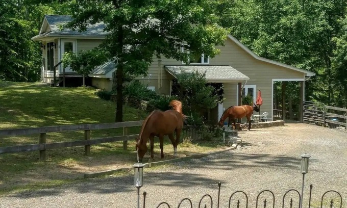 Marshall House | Magical Unicorn Hollow/Wineries/Great Meadows EventsnFully furnished apartment