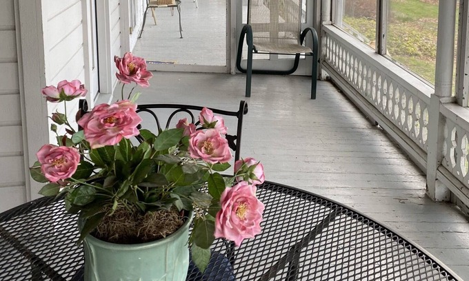 Ithaca House | Magical Victorian lake cottage 3 BR/2BR
