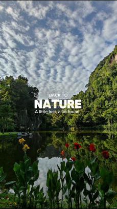 Hulu Kinta Apartment | Magnificent Mountain & Lake Views' Suite Cycas