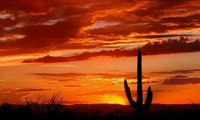 Sabino Estates House | Magnificent Views - Tucson Ranch Style Home