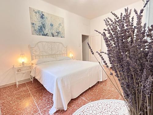 Savena Apartment | Magnolia Apartments