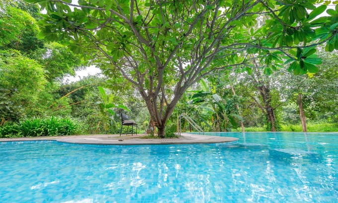 Turiya Hotel | Mahua Vann Pench