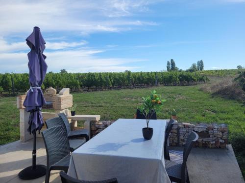 Monbazillac House | maison au cœur des vignes