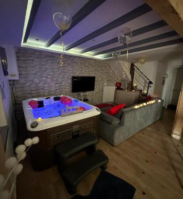 Maisdon-sur-Sevre House | Maison avec spa