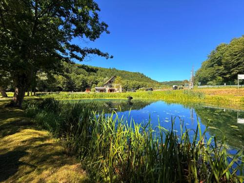 Soucht House | Maison d'hôtes en pleine nature avec chevaux