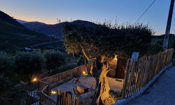 Armamar House | maison du olival
