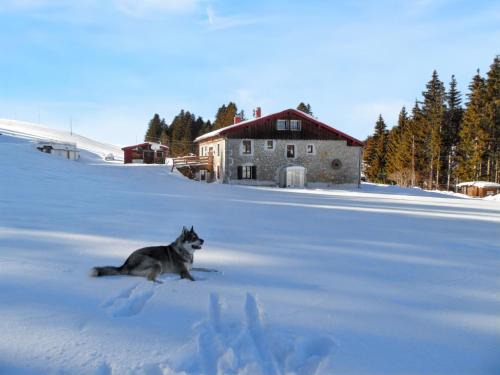 Septmoncel House | Maison isolée et calme à Septmoncel avec vue sur montagne