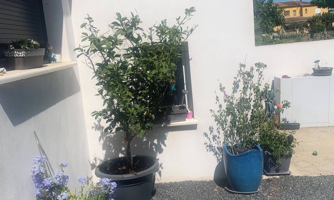 Lunel-Viel House | Maison Moderne à 15 mn des Plages