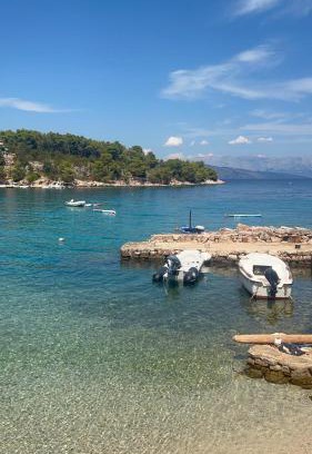 Cove Basina (Jelsa) Apartment | Mala Basina -Maslina