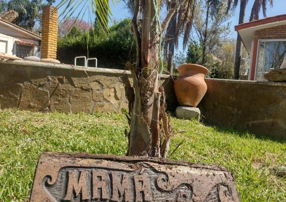 Roldan House | Mama LIDIA