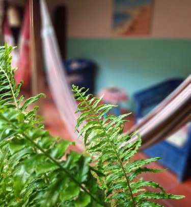 Canoa Quebrada Bed & Breakfast | Manga Rosa Hospedagem