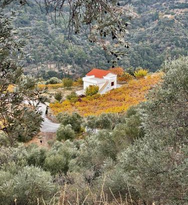 Manolates House | Manolates 360