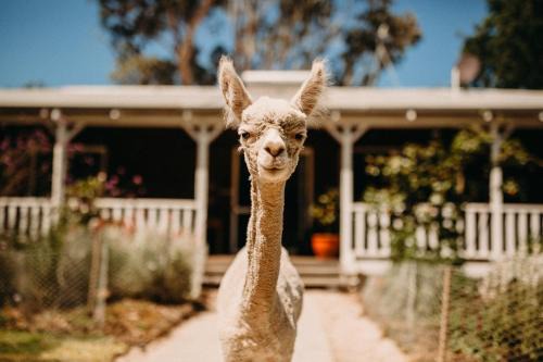 Margaret River Ski Chalet | Margaret River Holiday Cottages