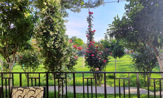 Sakës House | Margjelo's Twin Houses in the garden