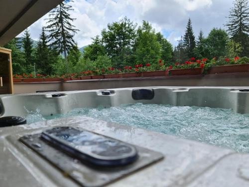 Poiana Brasov Apartment | Mariah Spa Deluxe Apartment in SILVER MOUNTAIN