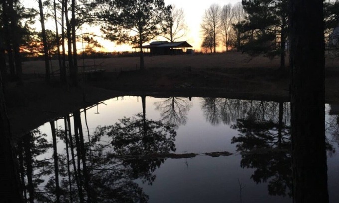Tylertown House | Markham Place: Private Farm Fun!