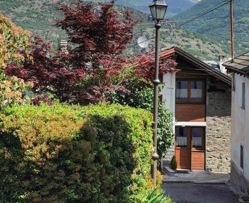 Sinsein Apartment | marmot