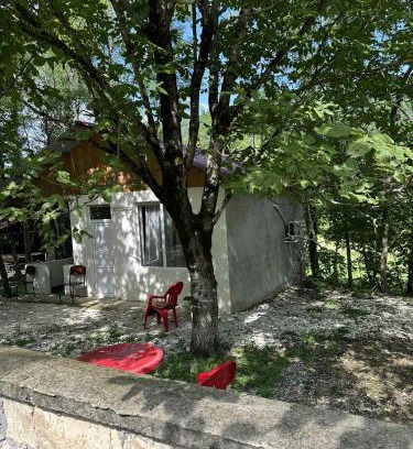 Salkhino Apartment | Martvili Canyon Cottage in the Forest