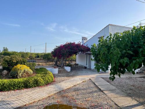 Amposta House | Masía Mas Salut