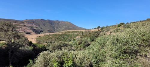 Port-Vendres House | Mas del Roumany