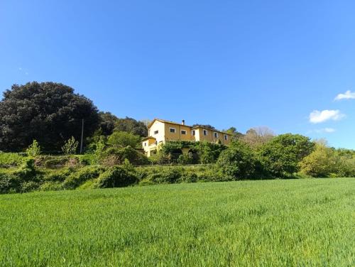 Sant Ferriol Bed & Breakfast | Mas Pitre