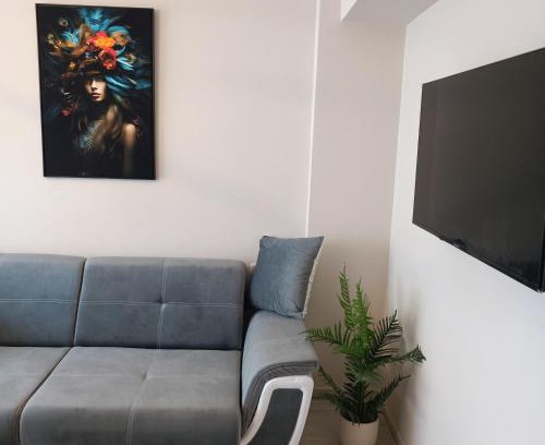 Tulcea Apartment | Masaryss luxury apartament 2
