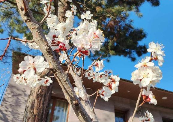 Vanadzor Apartment | Mashtots B&B