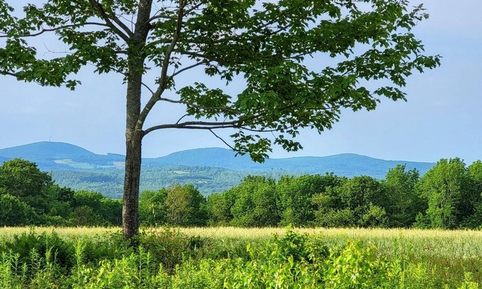 Jackson Cabin | Mason hill. Peaceful, quiet rustic 3 season camp with views.