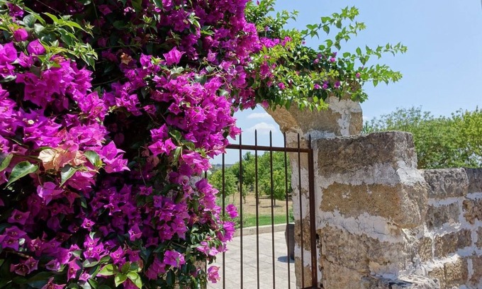 Tuglie House | Masseria Carignani