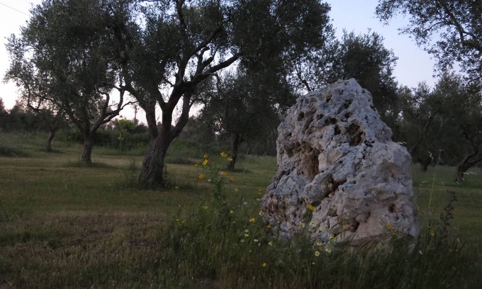 Carpignano Salentino House | Masseria Mauriani 1623 - Entire structure