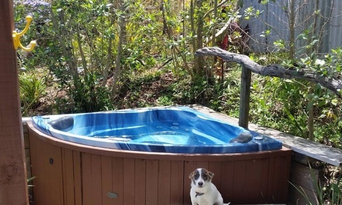 Whangaripo Ski Chalet | Matakana peaceful rustic retreat,soak in the secluded hot spa.