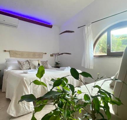 Loculi House | Matta e Sole