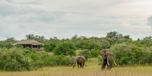 Aitong Other | Mattikoko Safari Camp