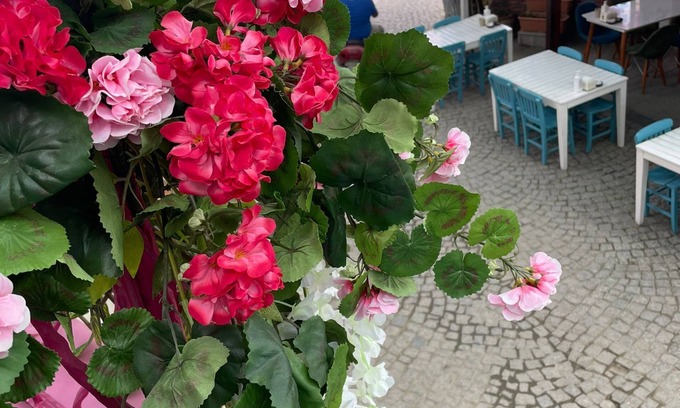 Sigacık House | Mavi Ege Butik Otel