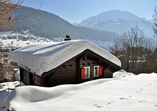 Fiesch House | Maxima