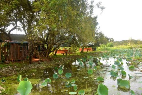 Anuradhapura House | Meegahapokuna Resort