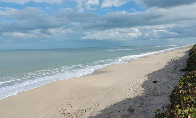 Melbourne Beach House | Melbourne Beach House and Basement Apt on 1.2 acres ocean front