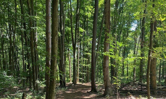 Bemus Point Cabin | Memory Lane country living 3 miles from the amazing town of Bemus Point!