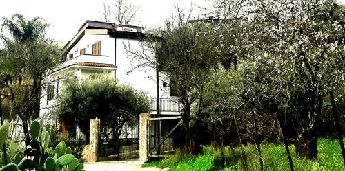 Misilmeri House | Menzel el Emir