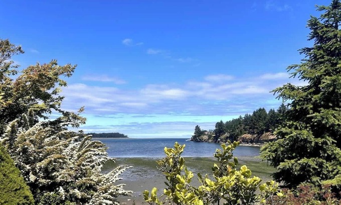Regional District of Nanaimo Apartment | Mermaid Cove - Oceanfront Suite - 2BDRM - Kitchen