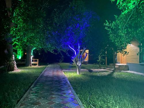 Tekirova Apartment | Metenin tatil evleri
